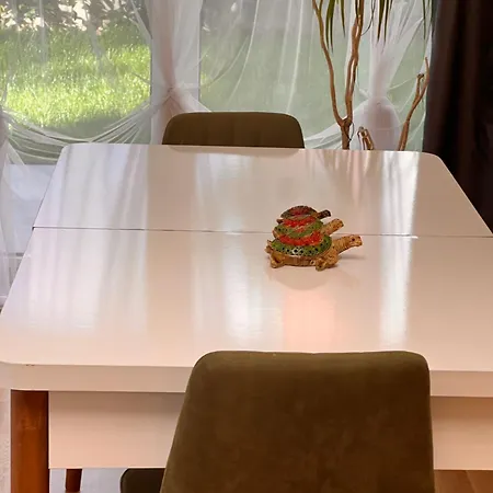 公寓 Muesluem Offenbach