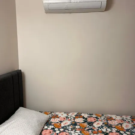 Muesluem Offenbach 达姆施塔特